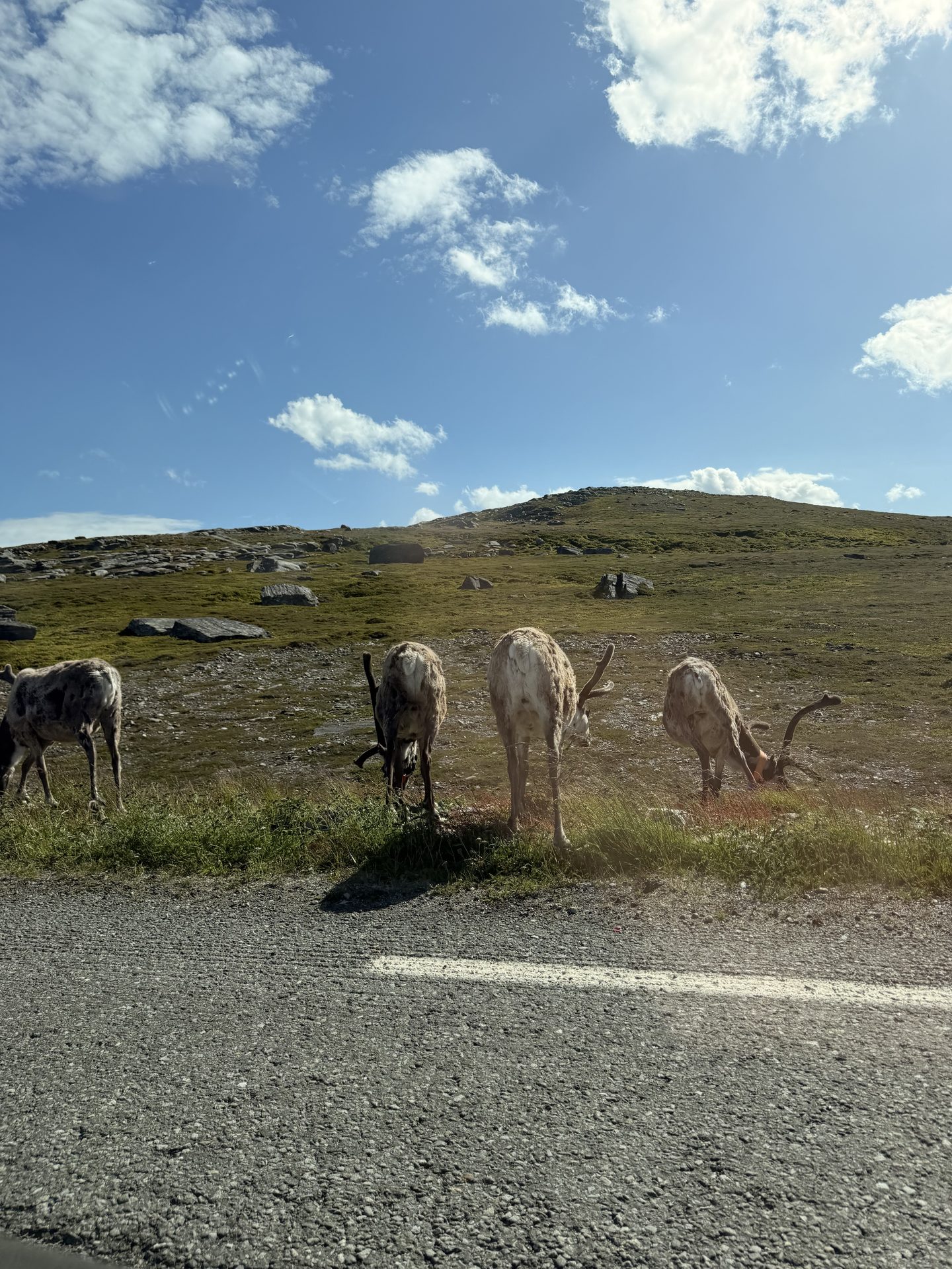 Day 6 &mdash; Burfjord, Norway to Skaidi, Norway &ndash; photo 3